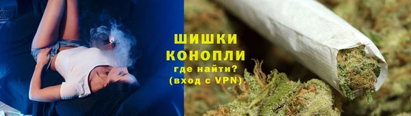 PSILOCYBIN Богданович